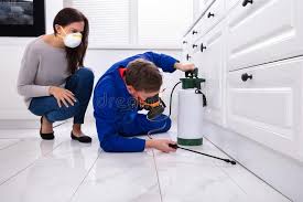 Best Fumigation Services  in Barron, WI